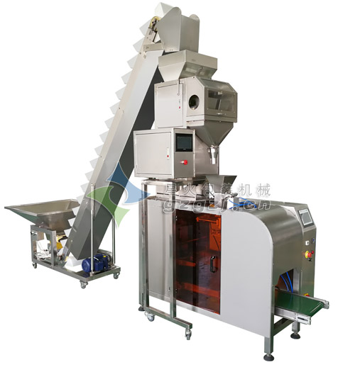 給袋式(shì)顆粒稱重包裝(zhuāng)機