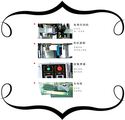 全自（zì）動孜然粉（fěn）包裝機