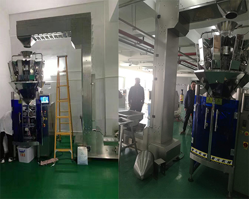 中藥飲片(piàn)包裝機
