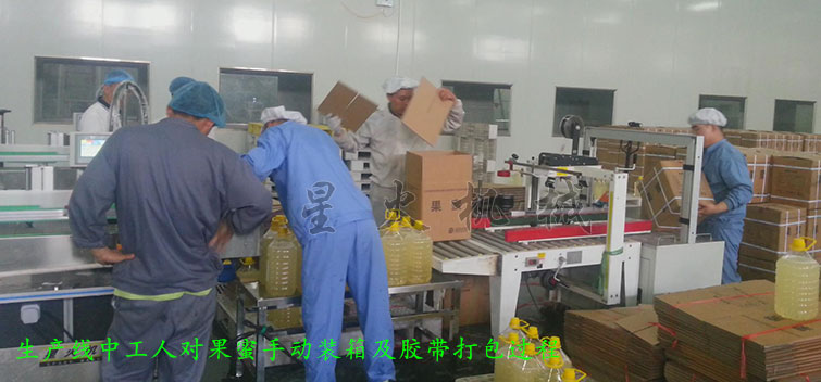 消防粉（fěn）灌裝生產線，全自動粉末灌（guàn）裝生產線